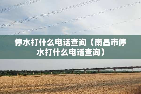 停水打什么电话查询（南昌市停水打什么电话查询）