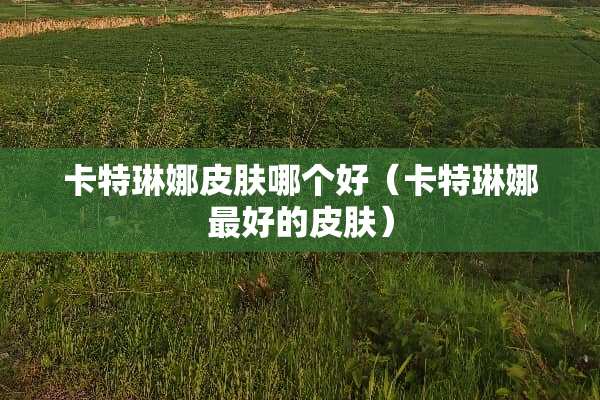 卡特琳娜皮肤哪个好（卡特琳娜最好的皮肤）