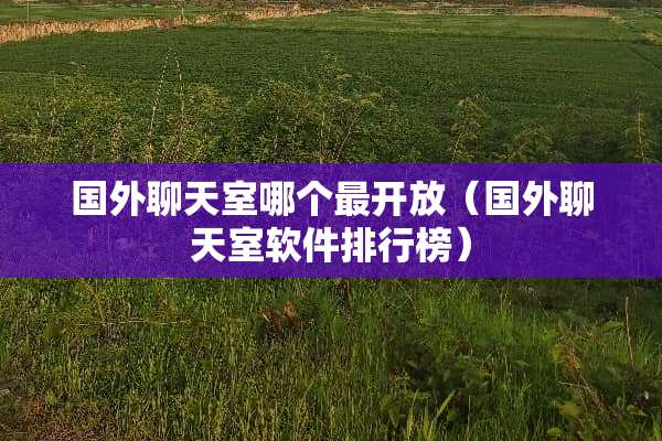 国外***哪个最开放（国外***软件排行榜）