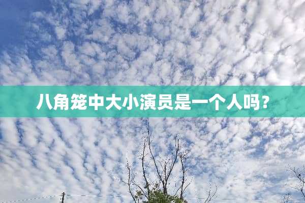 八角笼中大小演员是一个人吗？