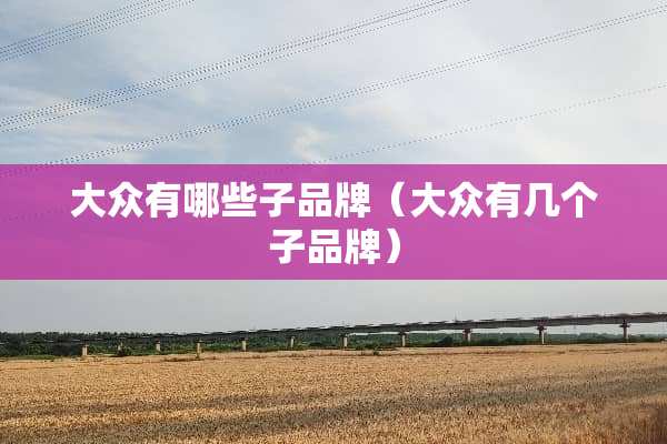 大众有哪些子品牌（大众有几个子品牌）