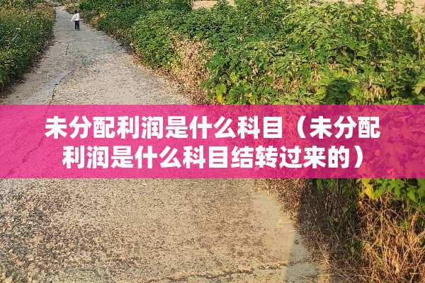 未分配利润是什么科目（未分配利润是什么科目结转过来的）