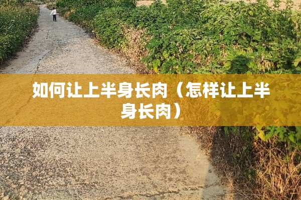 如何让上半身长肉（怎样让上半身长肉）