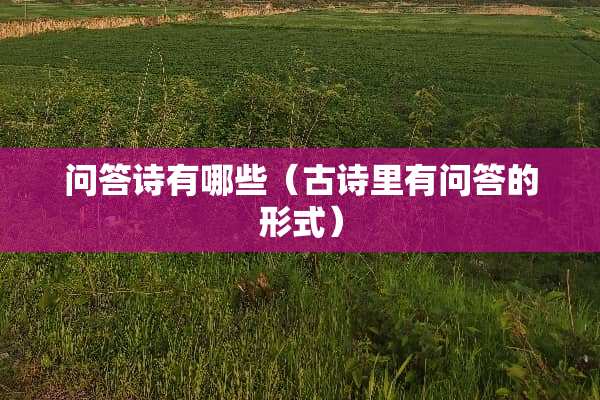 问答诗有哪些（古诗里有问答的形式）