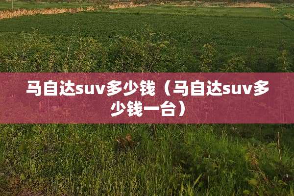 ***suv多少钱（***suv多少钱一台）