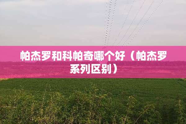 帕杰罗和科帕奇哪个好（帕杰罗系列区别）