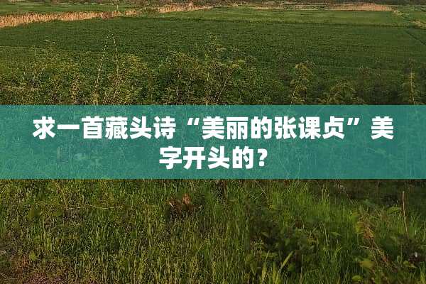 求一首藏头诗“美丽的张课贞”美字开头的？