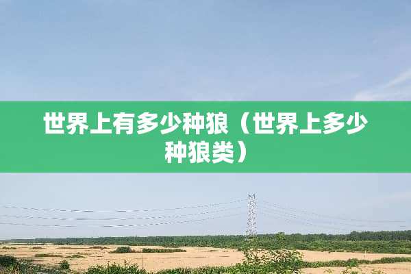 世界上有多少种狼（世界上多少种狼类）