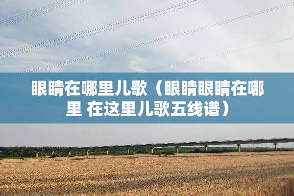 眼睛在哪里儿歌（眼睛眼睛在哪里 在这里儿歌五线谱）