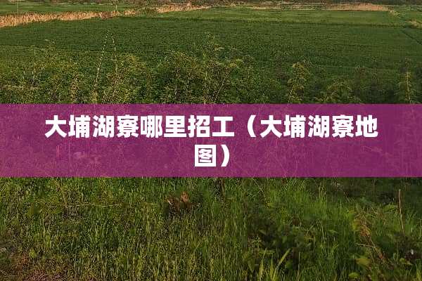 大埔湖寮哪里招工（大埔湖寮地图）
