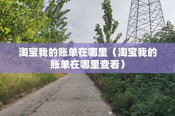 淘宝我的账单在哪里（淘宝我的账单在哪里查看）