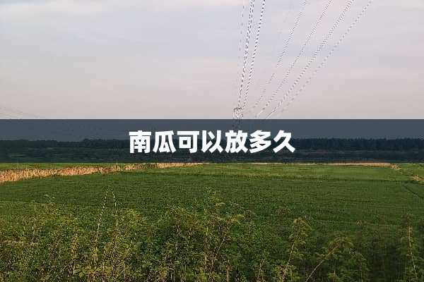 南瓜可以放多久