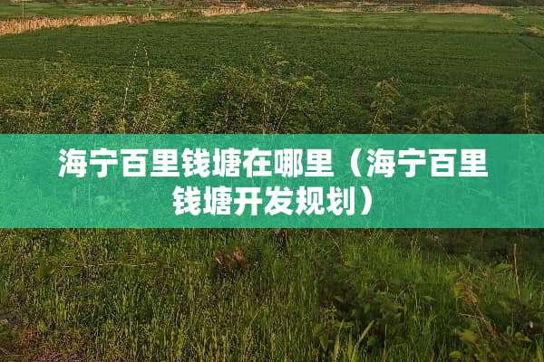 海宁百里钱塘在哪里（海宁百里钱塘开发规划）