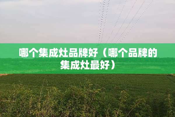 哪个集成灶品牌好（哪个品牌的集成灶最好）