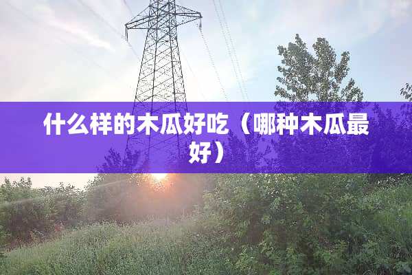什么样的木瓜好吃（哪种木瓜最好）