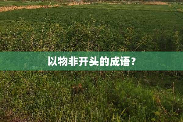 以物非开头的成语？