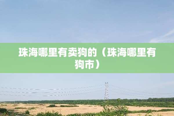 珠海哪里有卖狗的（珠海哪里有狗市）
