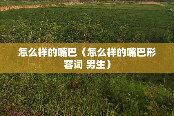 怎么样的嘴巴（怎么样的嘴巴形容词 男生）