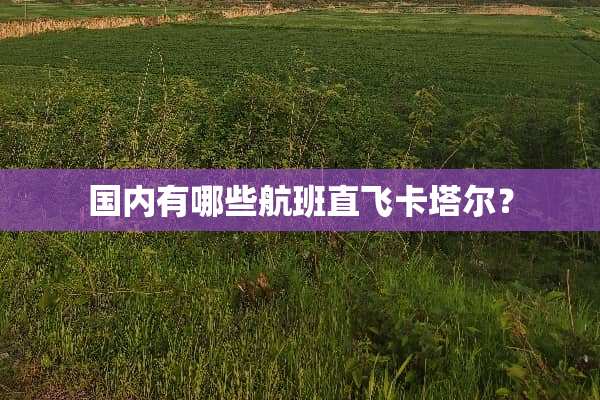 国内有哪些航班直飞卡塔尔？