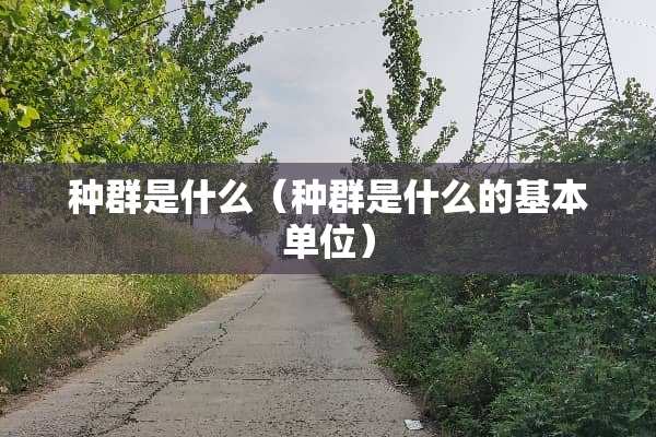 种群是什么（种群是什么的基本单位）