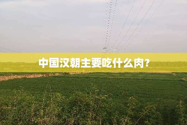 中国汉朝主要吃什么肉？