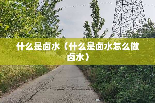 什么是卤水（什么是卤水怎么做卤水）