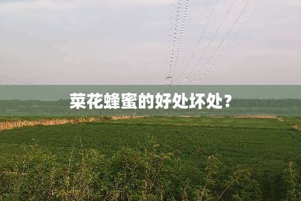 菜花蜂蜜的好处坏处？