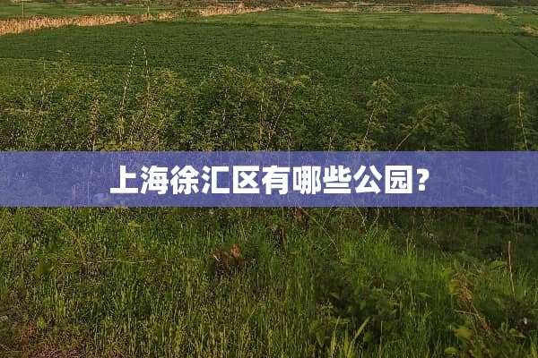 上海徐汇区有哪些公园？