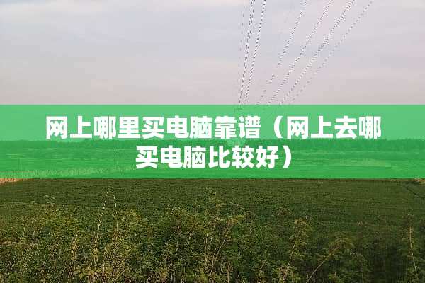 网上哪里买电脑靠谱（网上去哪买电脑比较好）