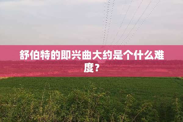舒伯特的即兴曲大约是个什么难度？