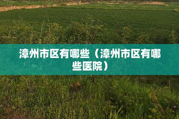 漳州市区有哪些（漳州市区有哪些医院）