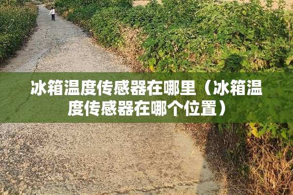 冰箱温度传感器在哪里（冰箱温度传感器在哪个位置）