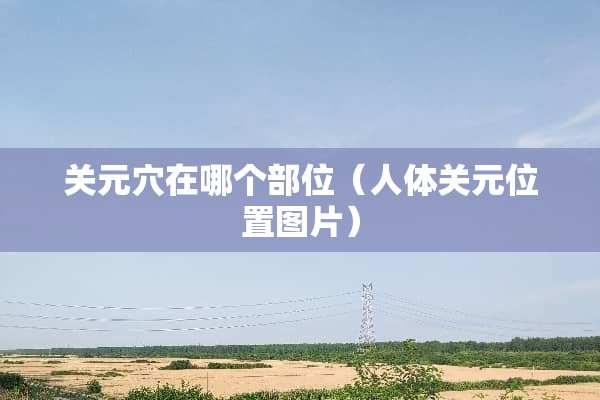 关元*在哪个部位（人体关元位置图片）
