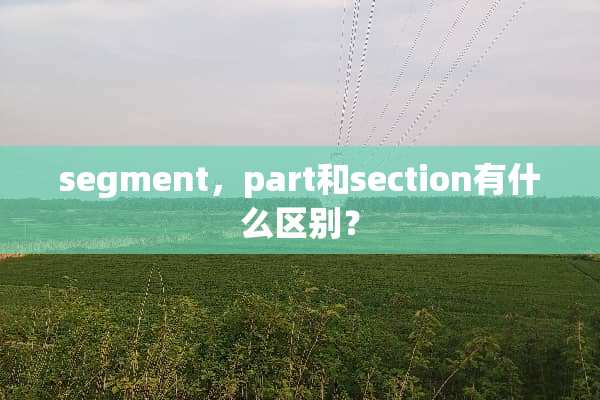 segment，part和section有什么区别？