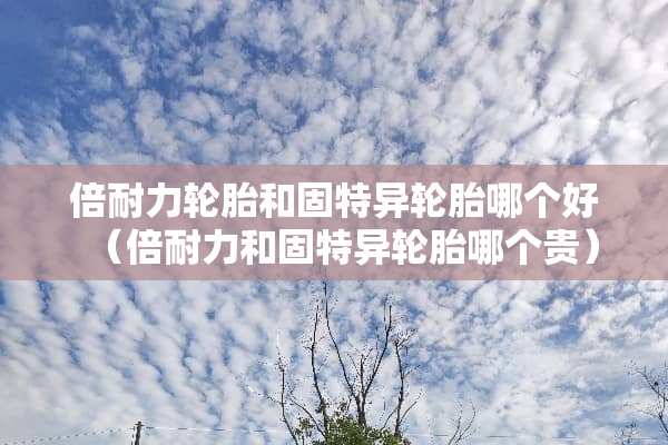 倍耐力轮胎和固特异轮胎哪个好（倍耐力和固特异轮胎哪个贵）