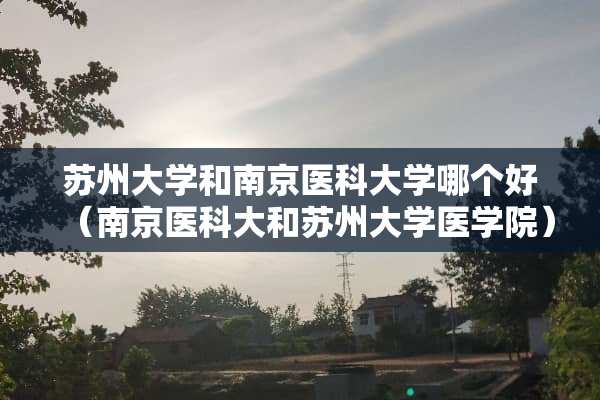 苏州大学和南京医科大学哪个好（南京医科大和苏州大学医学院）
