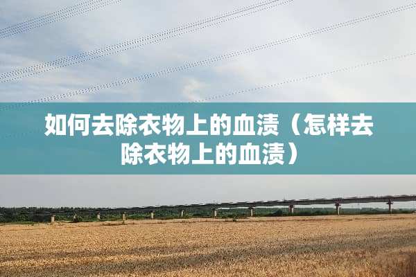 如何去除衣物上的血渍（怎样去除衣物上的血渍）