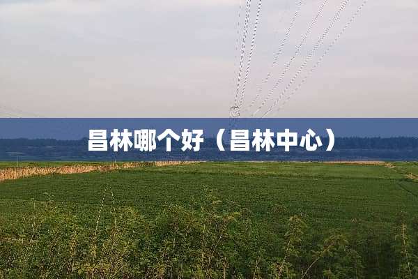 昌林哪个好（昌林中心）