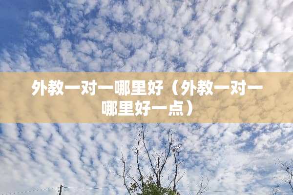 外教一对一哪里好（外教一对一哪里好一点）