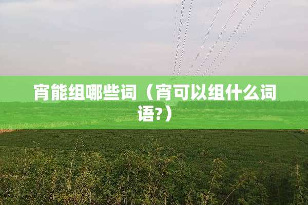 宵能组哪些词（宵可以组什么词语?）