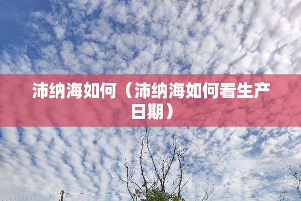 沛纳海如何（沛纳海如何看生产日期）