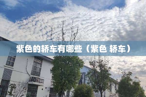 紫色的轿车有哪些（紫色 轿车）