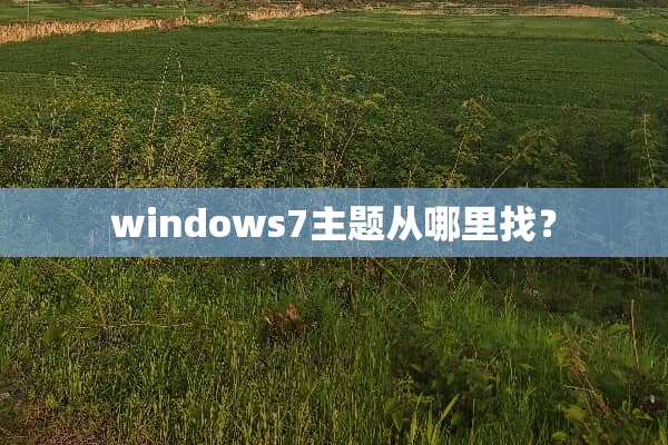 windows7主题从***？