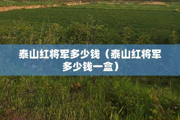 泰山红将军多少钱（泰山红将军多少钱一盒）