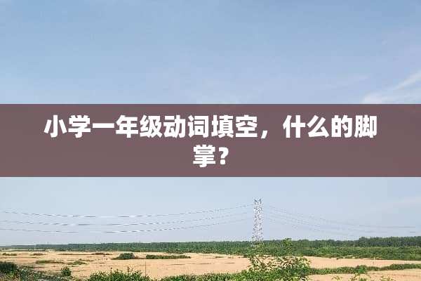 小学一年级动词填空，什么的脚掌？