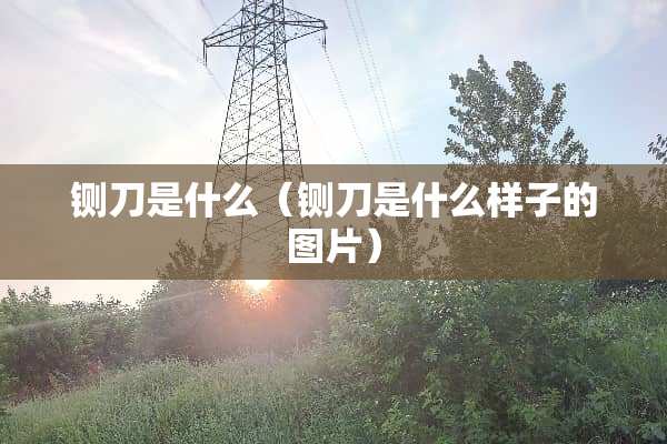 铡刀是什么（铡刀是什么样子的图片）