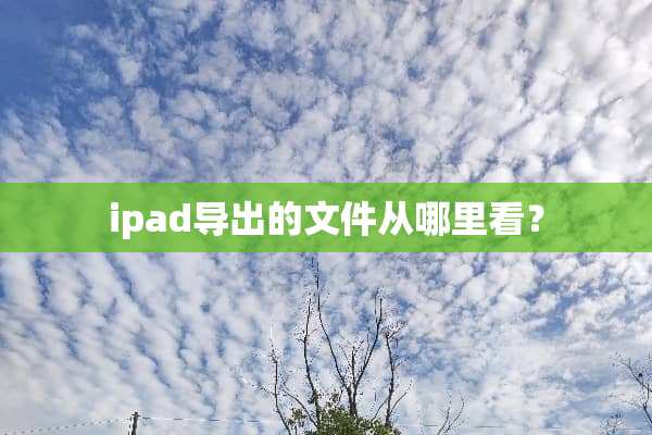 ipad导出的文件从哪里看？