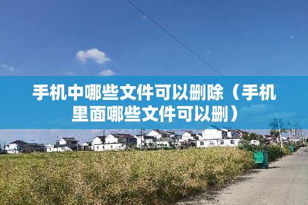 手机中哪些文件可以删除（手机里面哪些文件可以删）