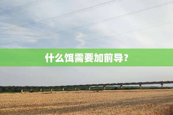 什么饵需要加前导？
