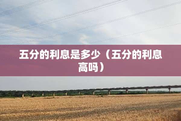 五分的利息是多少（五分的利息高吗）